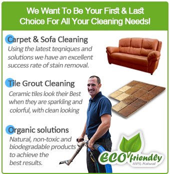 Expert Cleaning Services