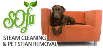 Pet Stain Removal